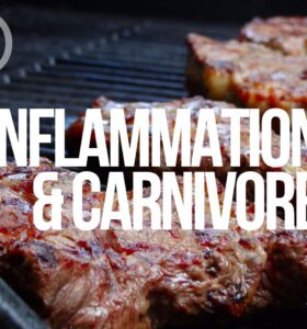 inflammation and carnivore